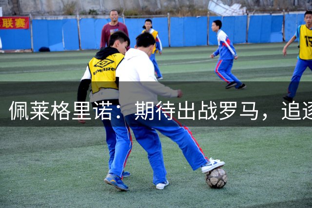 佩莱格里诺：期待出战罗马，追逐欧战与世界杯梦想