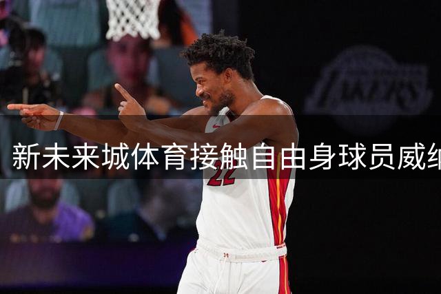 新未来城体育接触自由身球员威纳尔杜姆